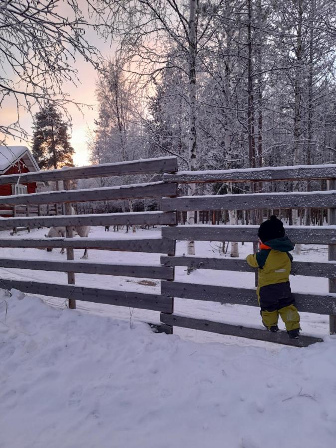 Villa Waeltti Rovaniemi Zewnętrze zdjęcie